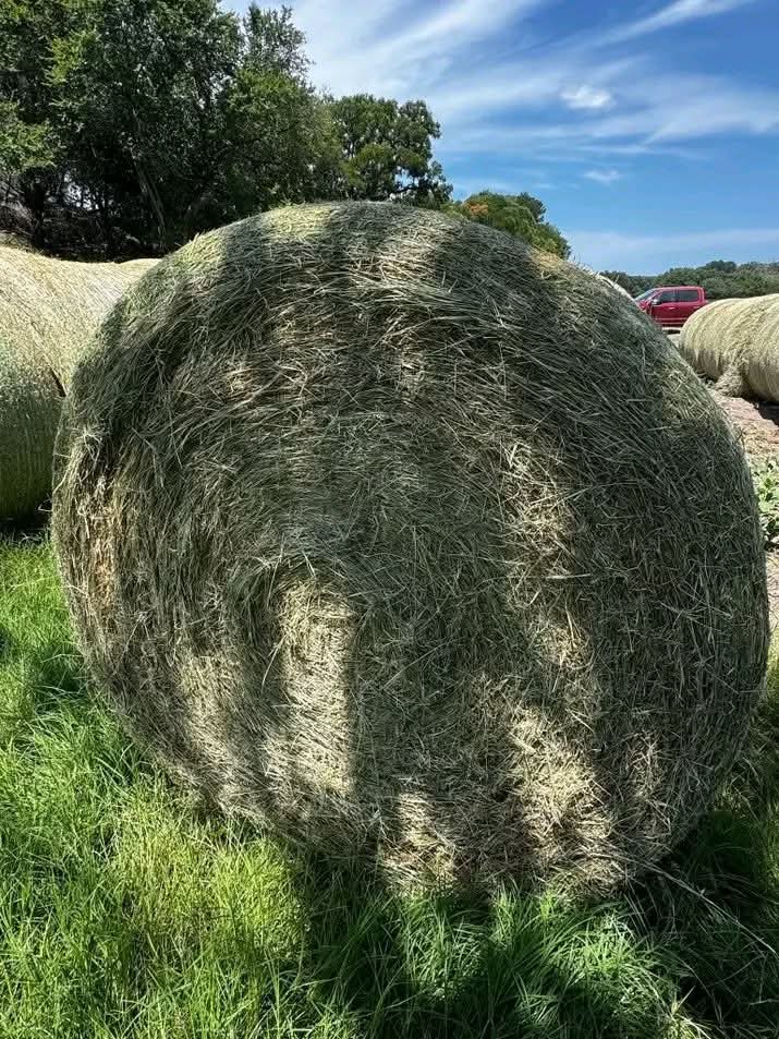 Hay bales available