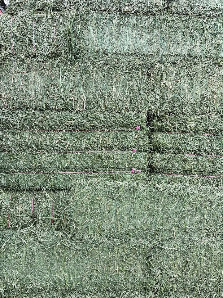 PREMIUM ALFALFA HAY FOR SALE 🌾🐴🐄 3