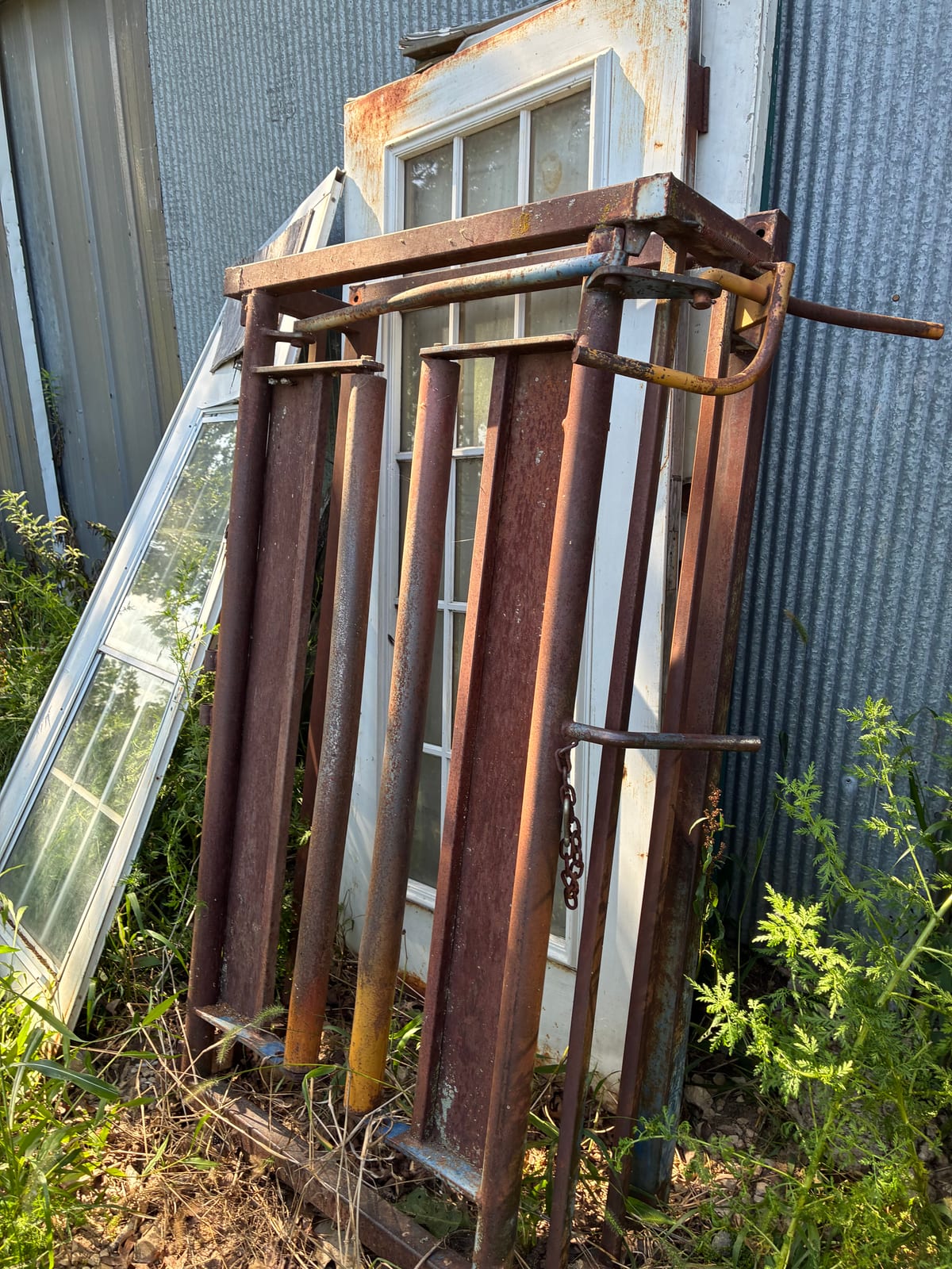 cattle head chute 