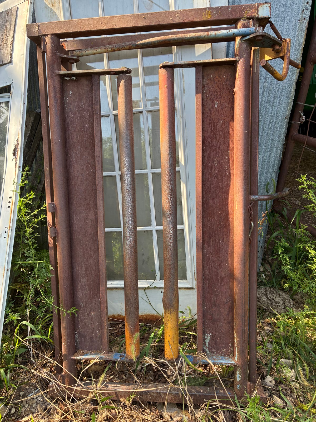 cattle head chute  2