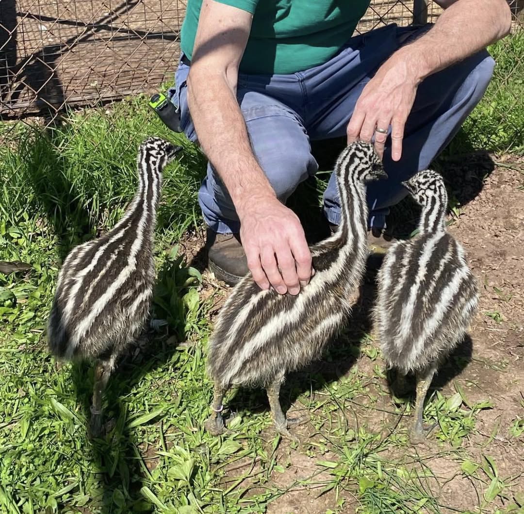 October Family farm sale's  5