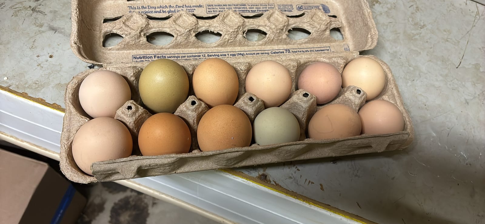 farm fresh eggs