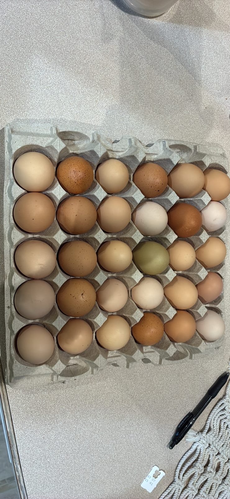 farm fresh eggs 2